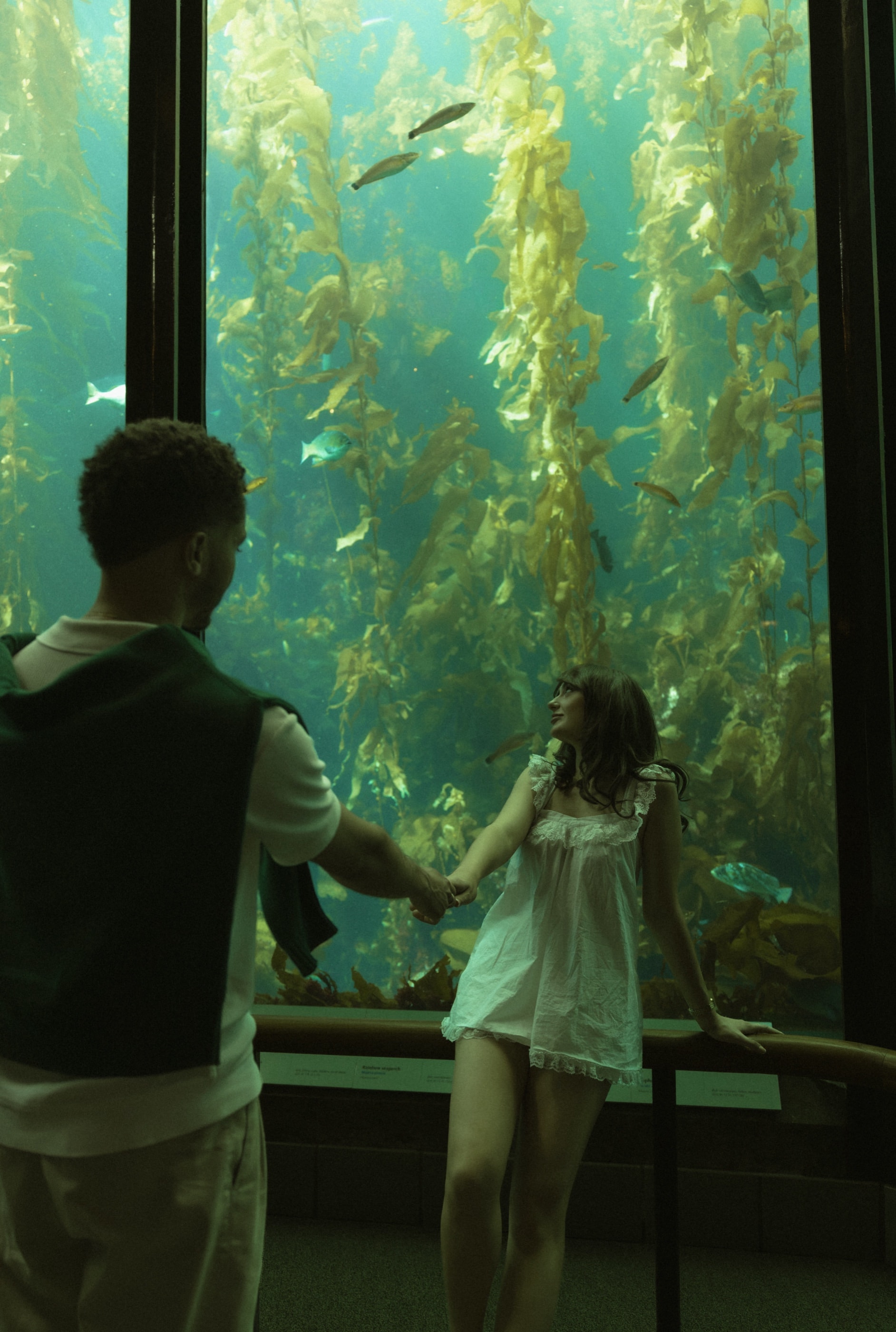Berkeley and Robin in silhouette among drifting orange jellies at the Monterey Bay Aquarium